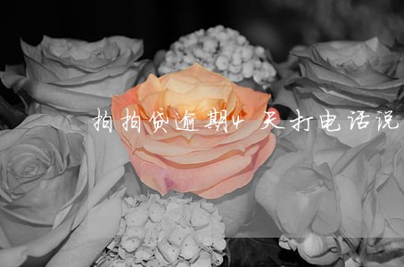 拍拍贷逾期4天打电话说后果自负 拍拍贷逾期4天打电话说后果自负