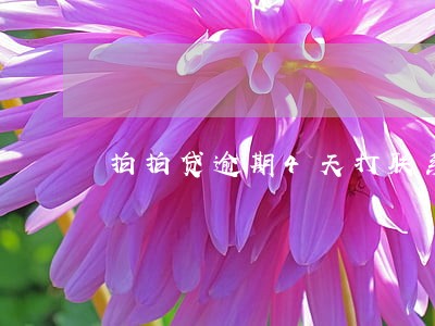 拍拍贷逾期4天打联系人吗 拍拍贷逾期4天打联系人吗