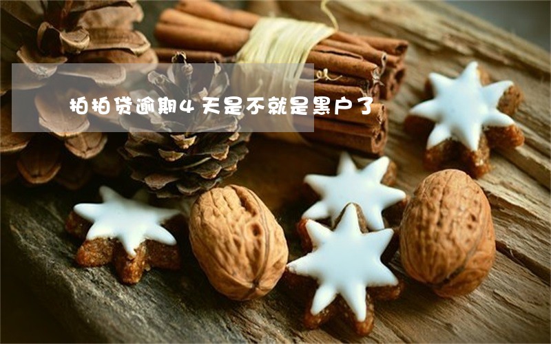 拍拍贷逾期4天是不就是黑户了 拍拍贷逾期4天是不就是黑户了