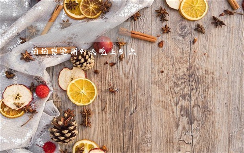 拍拍贷逾期4天晚上5点 拍拍贷逾期4天晚上5点