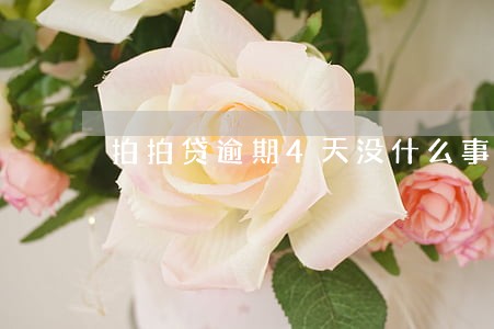 拍拍贷逾期4天没什么事吧 拍拍贷逾期4天没什么事吧