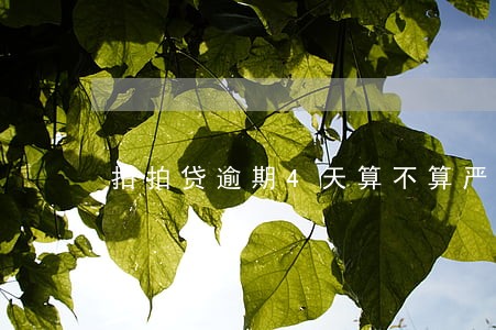 拍拍贷逾期4天算不算严重 拍拍贷逾期4天算不算严重