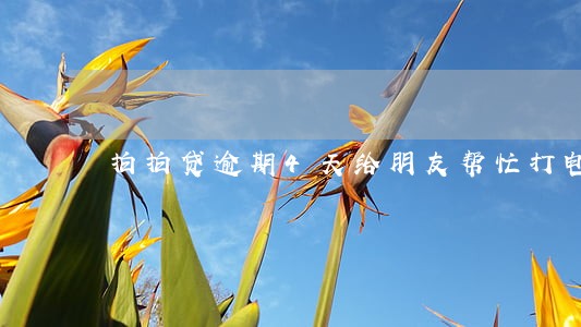 拍拍贷逾期4天给朋友帮忙打电话 拍拍贷逾期4天给朋友帮忙打电话