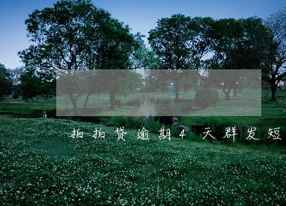 拍拍贷逾期4天群发短信 拍拍贷逾期4天群发短信
