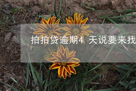 拍拍贷逾期4天说要来找我 拍拍贷逾期4天说要来找我
