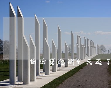 拍拍贷逾期4天还了会怎样 拍拍贷逾期4天还了会怎样