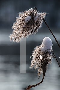 拍拍贷逾期4年怎么处理 拍拍贷逾期4年怎么处理