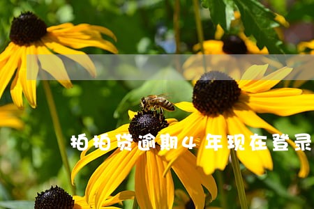 拍拍贷逾期4年现在登录不了 拍拍贷逾期4年现在登录不了