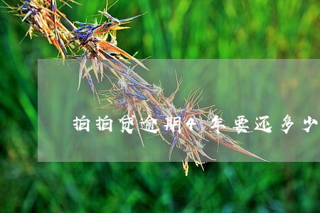 拍拍贷逾期4年要还多少 拍拍贷逾期4年要还多少