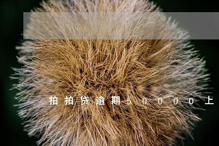 拍拍贷逾期50000上门吗 拍拍贷逾期50000上门吗