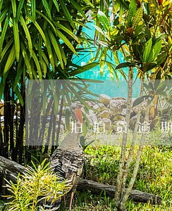 拍拍贷逾期500天了 拍拍贷逾期500天了
