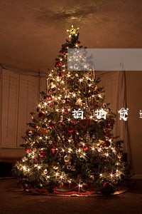拍拍贷逾期50万 拍拍贷逾期50万