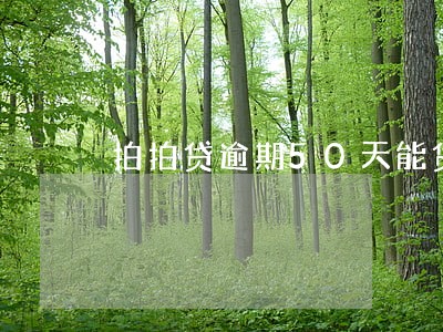 拍拍贷逾期50天能贷多少 拍拍贷逾期50天能贷多少