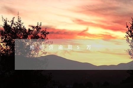拍拍贷逾期5万 拍拍贷逾期5万