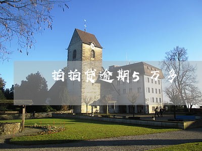 拍拍贷逾期5万多 拍拍贷逾期5万多