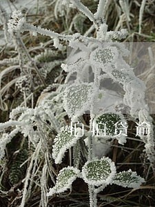 拍拍贷逾期5千 拍拍贷逾期5千