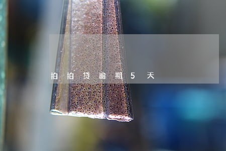 拍拍贷逾期5天