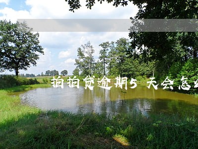 拍拍贷逾期5天会怎么样 拍拍贷逾期5天会怎么样