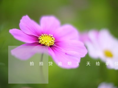 拍拍贷逾期5天给单位打电话