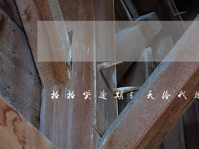 拍拍贷逾期5天给我爆通讯录 拍拍贷逾期5天给我爆通讯录