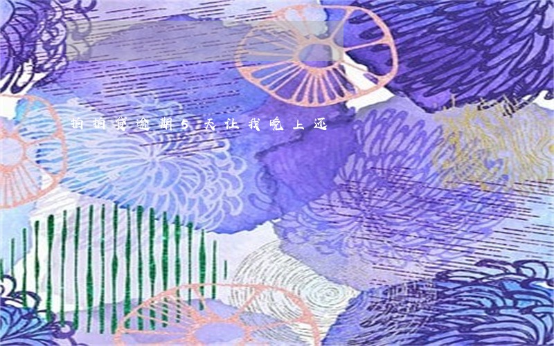 拍拍贷逾期5天让我晚上还