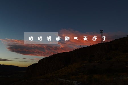 拍拍贷逾期5天还了 拍拍贷逾期5天还了