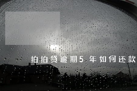 拍拍贷逾期5年如何还款 拍拍贷逾期5年如何还款