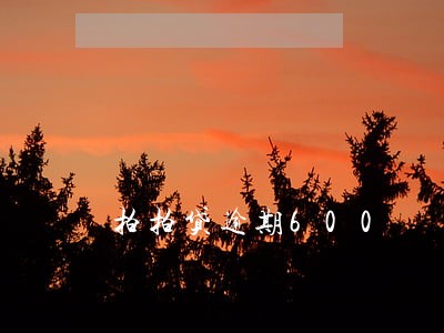 拍拍贷逾期600 拍拍贷逾期600