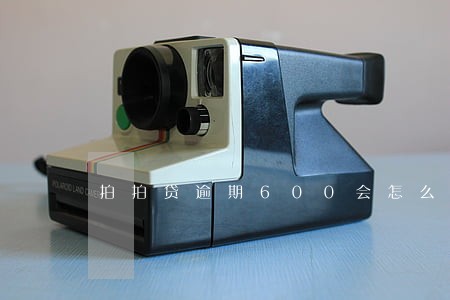 拍拍贷逾期600会怎么样 拍拍贷逾期600会怎么样
