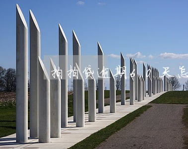 拍拍贷逾期60天怎么办 拍拍贷逾期60天怎么办
