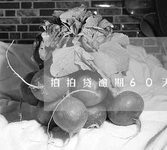 拍拍贷逾期60天还完还能借吗 拍拍贷逾期60天还完还能借吗