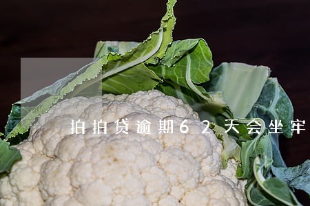 拍拍贷逾期62天会坐牢吗 拍拍贷逾期62天会坐牢吗