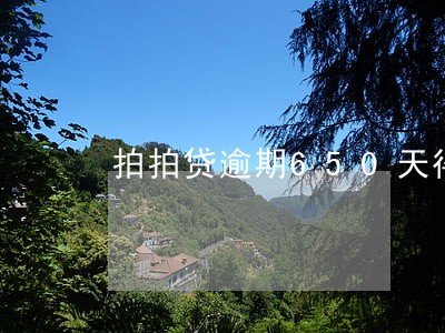 拍拍贷逾期650天得还多少 拍拍贷逾期650天得还多少