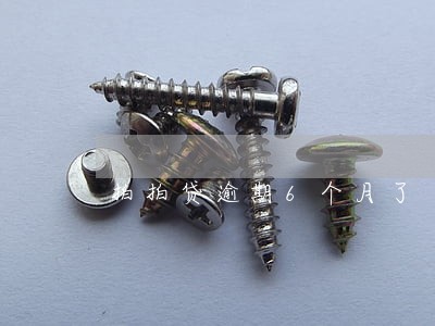 拍拍贷逾期6个月了 拍拍贷逾期6个月了