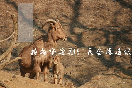 拍拍贷逾期6天会爆通讯录吗 拍拍贷逾期6天会爆通讯录吗