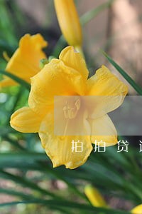 拍拍贷逾期6天后果 拍拍贷逾期6天后果