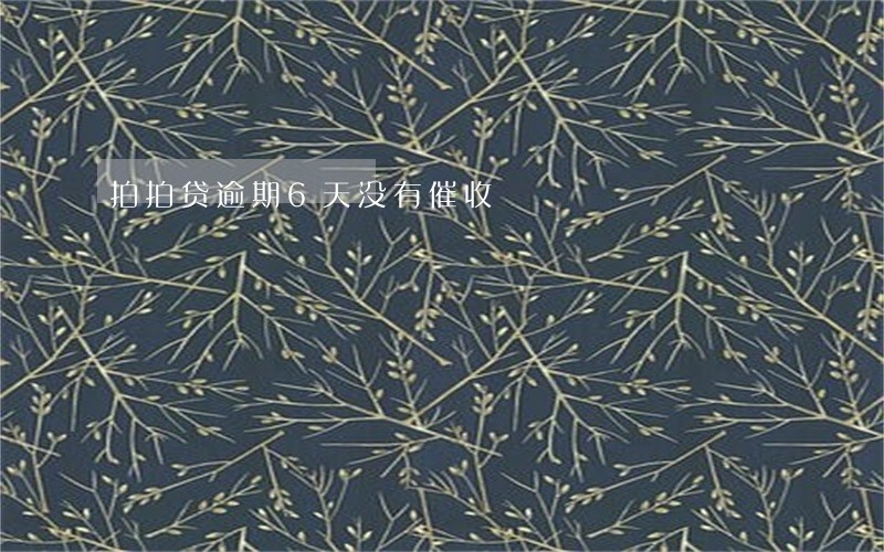 拍拍贷逾期6天没有催收 拍拍贷逾期6天没有催收