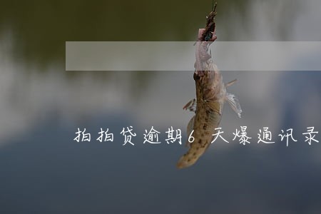 拍拍贷逾期6天爆通讯录了 拍拍贷逾期6天爆通讯录了