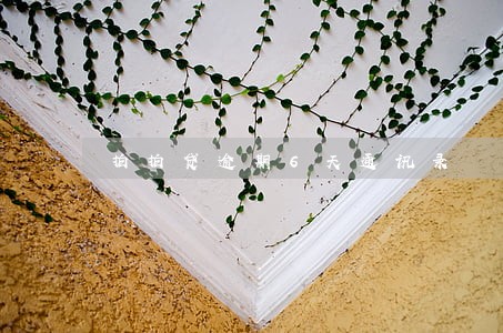 拍拍贷逾期6天通讯录 拍拍贷逾期6天通讯录