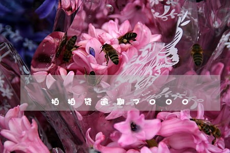 拍拍贷逾期7000