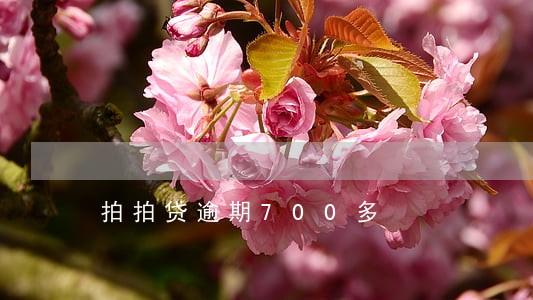 拍拍贷逾期700多 拍拍贷逾期700多
