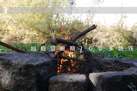 拍拍贷逾期700多块钱 拍拍贷逾期700多块钱