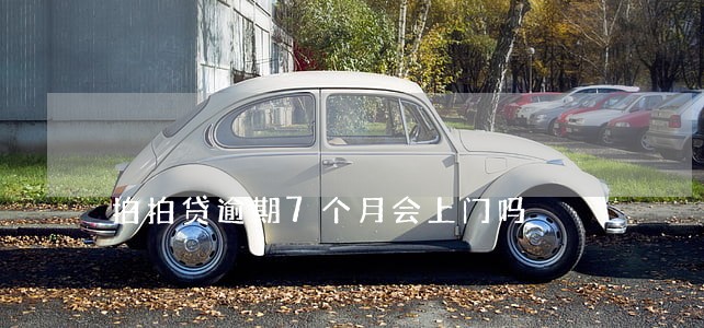 拍拍贷逾期7个月会上门吗
