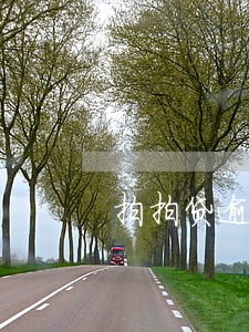 拍拍贷逾期7天内 拍拍贷逾期7天内