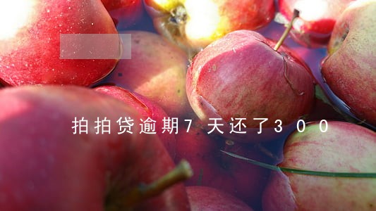 拍拍贷逾期7天还了300