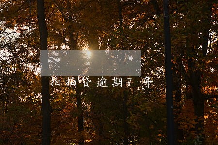 拍拍贷逾期7年 拍拍贷逾期7年