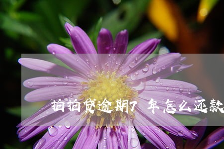 拍拍贷逾期7年怎么还款 拍拍贷逾期7年怎么还款