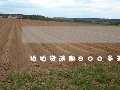 拍拍贷逾期800多天 拍拍贷逾期800多天