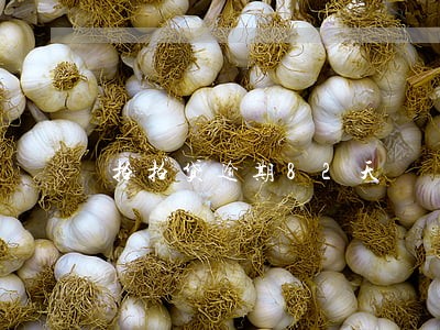 拍拍贷逾期82天 拍拍贷逾期82天