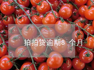 拍拍贷逾期8个月 拍拍贷逾期8个月